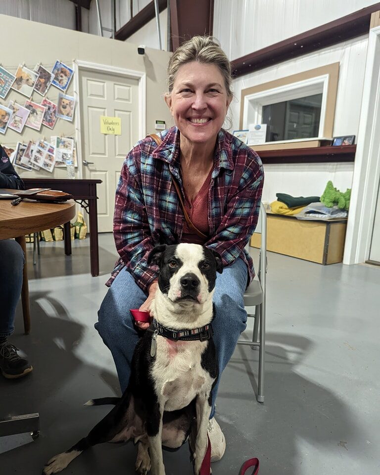 Instagram post from foothillscaninerescue. This post is in position 6.