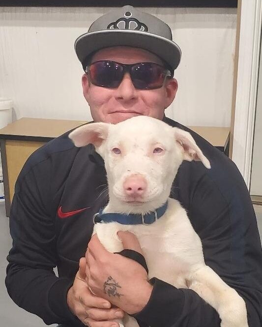 Instagram post from foothillscaninerescue. This post is in position 2.