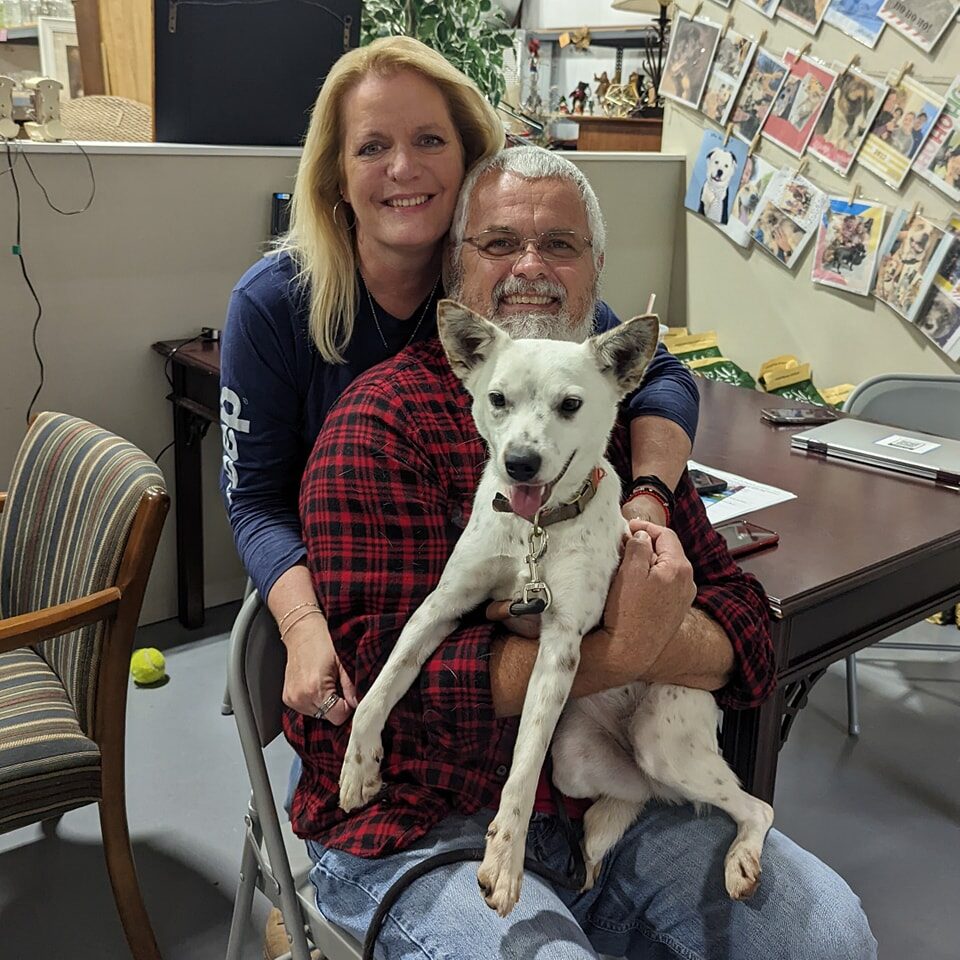 Instagram post from foothillscaninerescue. This post is in position 6.