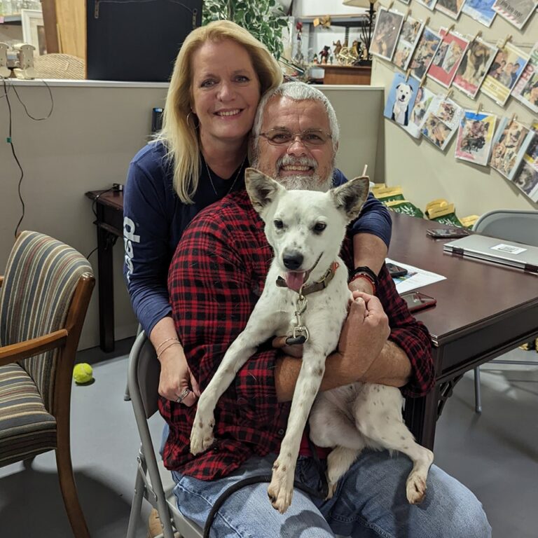 Instagram post from foothillscaninerescue. This post is in position 7.