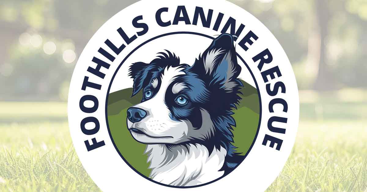 Foothills Canine Rescue Inc logo