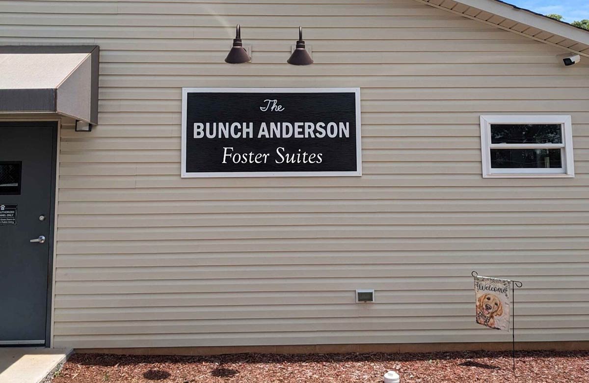 Caldwell County Bunch Anderson Foster Suites dog shelter